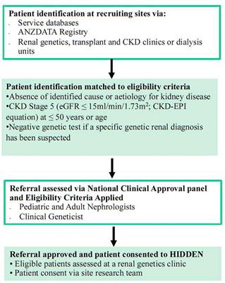 The HIDDEN Protocol: An Australian Prospective Cohort Study to Determine the Utility of Whole Genome Sequencing in Kidney Failure of Unknown Aetiology